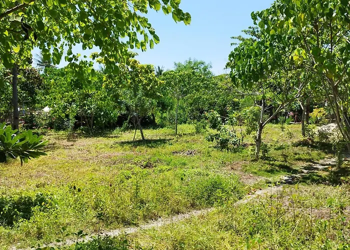 Celtis Resort 2*