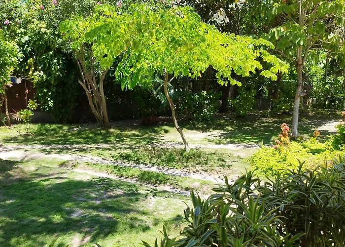 Celtis 2* Isola di Malapascua