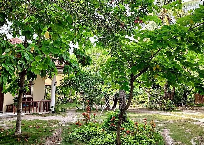 Celtis Logon