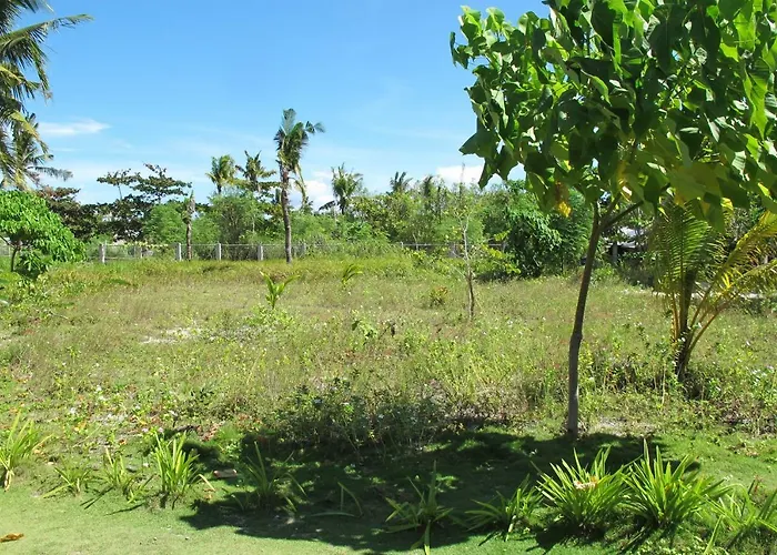 Resort Celtis