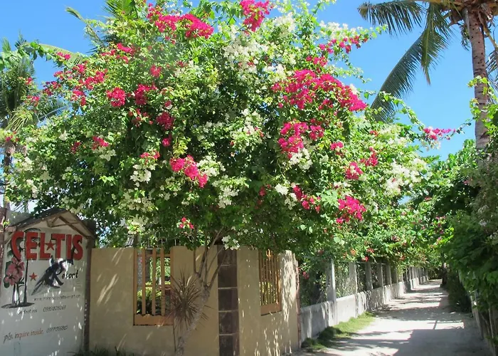 Celtis Resort 2*